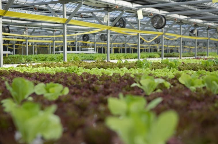 FARMFACTORY R&D — 제주 스마트팜 연구 현장